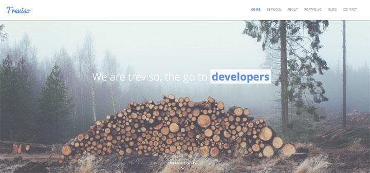 treviso-onepage-html-template