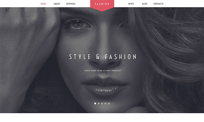  Fashion Stylist WordPress Theme 